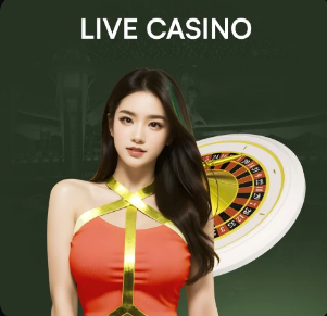 英格兰vs日本：罗杰斯、帕尔默首发，伊东纯也、堂安律出战